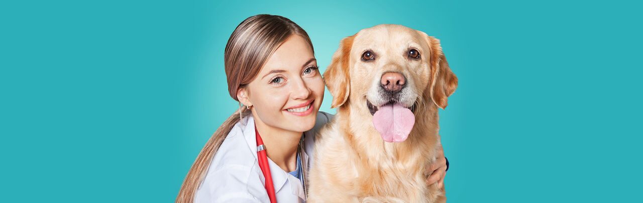 Ветеринарные услуги для
 кошек и собак в Москве